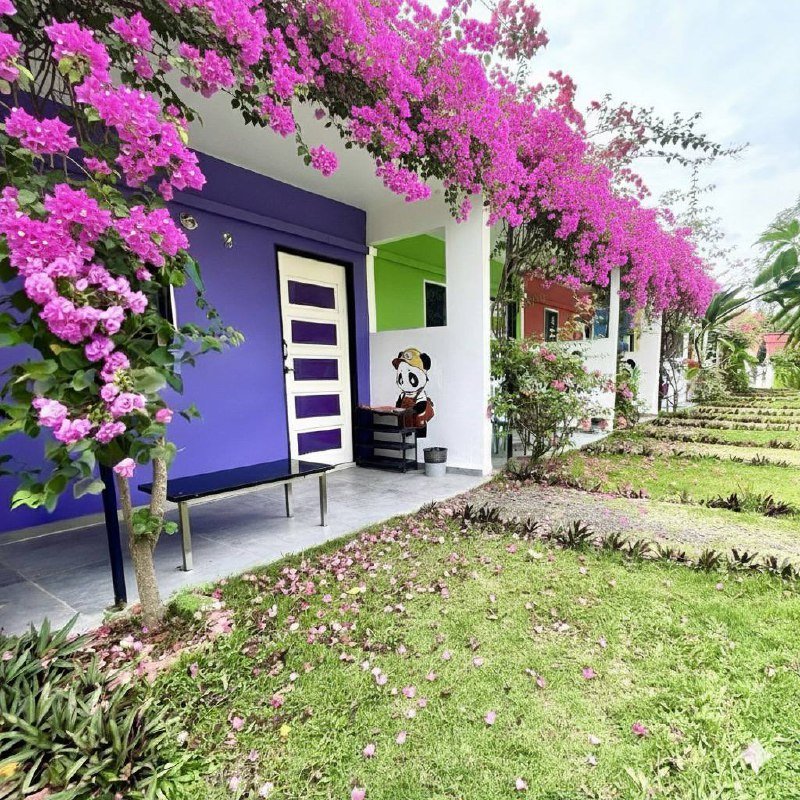 photo_6120669868634868617_x