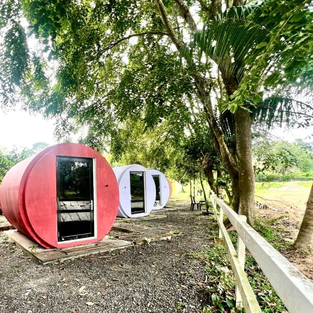 photo_6120669868634868620_y