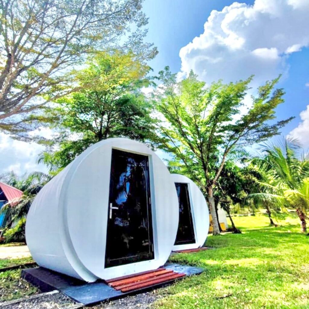 photo_6120669868634868621_y