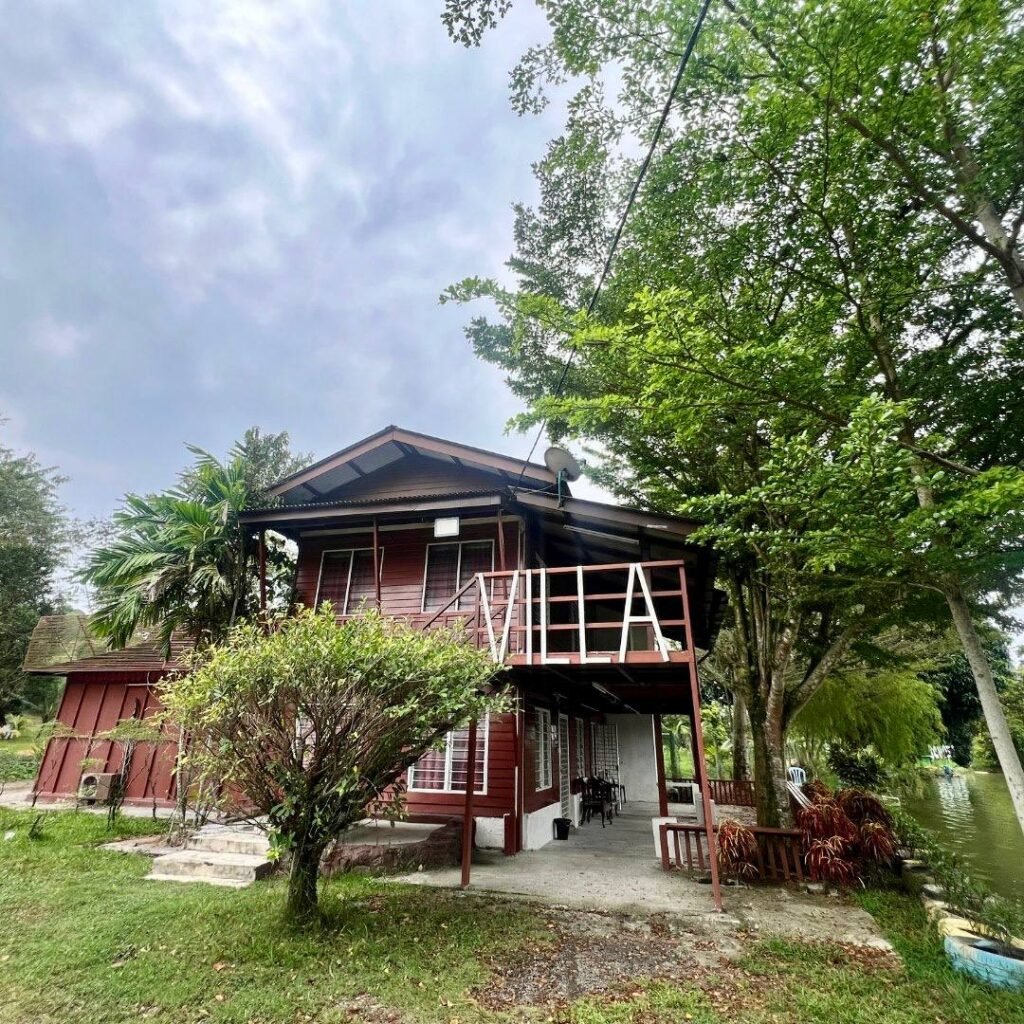 photo_6120669868634868632_y