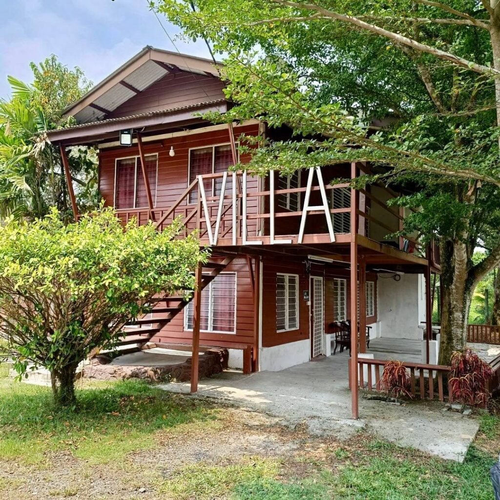 photo_6120669868634868633_y